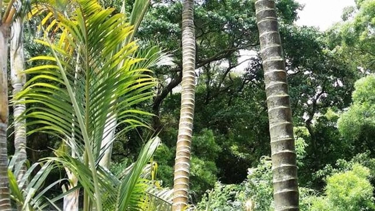Pousada De Coloane Boutique Hotel Macao Eksteriør bilde